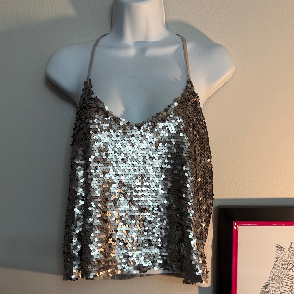 Hollister Silver and Brown Sequin Camisole EUC - Picture 1 of 3